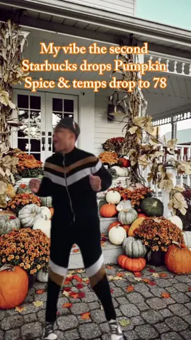 #Meme #MemeCut #Fall 