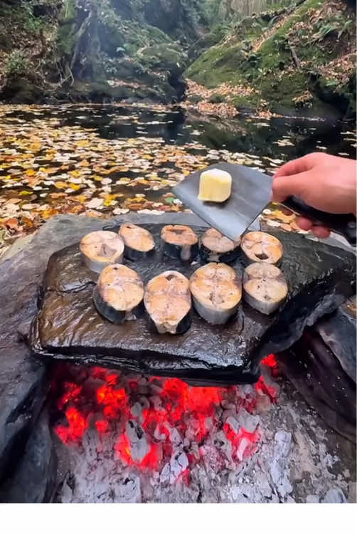 Grilled mackerel on hot rocks in the natural forest 🐟🪵🔥💦🌲 #cookingasmr #outdoorcooking #leon #cookingnature #mackerel 