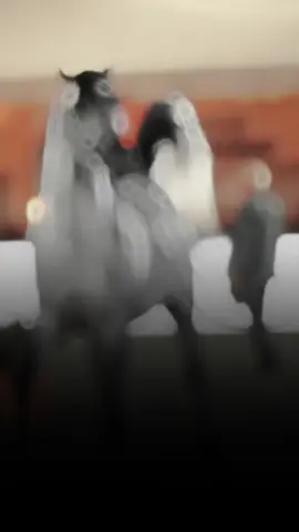 #CapCut لا ندعي الكمال لا ندعي المثاليه نحن كغيرنا من البشر كلنا اخطاء لكن الله انعم علينا بالستر #عشق_الخيل_ادمان 