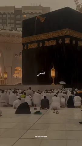 My love ALLAH🥹❤️‍🩹#unfreezmyaccount #naatsharif #viral #tik_tok #islamiceditz559 