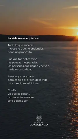La vida no se equivoca. #somosconsciencia #consciencia #conscienciaplena #despertar #despertarespiritual             