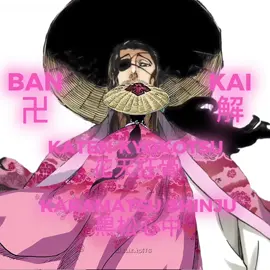 katen kyokotsu karamatsu shinju #bleach #animeedit #fyp #kyorakushunsui #katenkyokotsu 