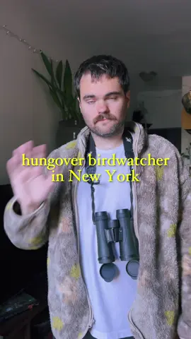 Fall migration starting up #birdwatching #hangover #nyc #comedian 