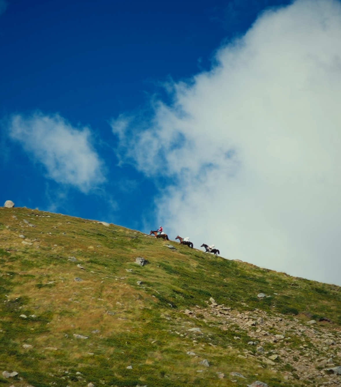 it’s never too late. #travel #cinematic 