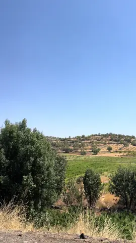 #mardin #midyat
