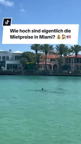 Antwort auf @GoodVibes | $29.000 Miete ist crazy 🥲🏠 Haben euch die Preise überrascht? #usa #Florida #amerika #germaninamerica #auswandern 