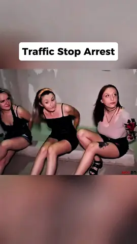 Traffic Stop Arrest P3 #cops #police #copsoftiktok #copscam 