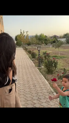 Axırda gülü tulladı ee🤦🏻‍♀️😂