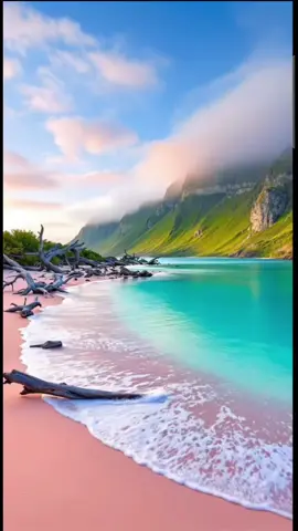 #creatorsearchinsights #beautifull  #waterfowl  #nature #relaxing 