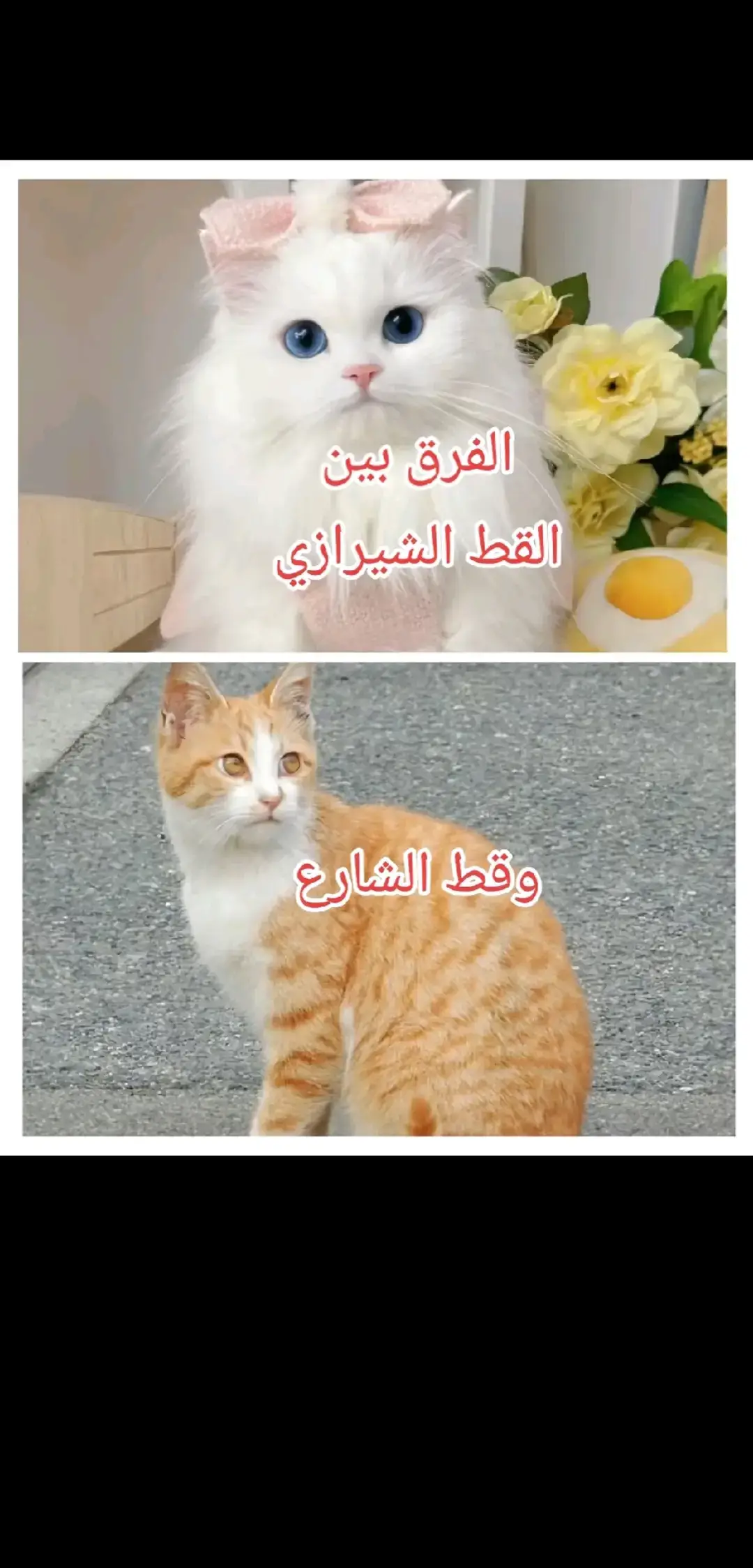 #🤣🤣🤣🤣 