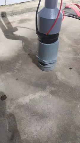 v1