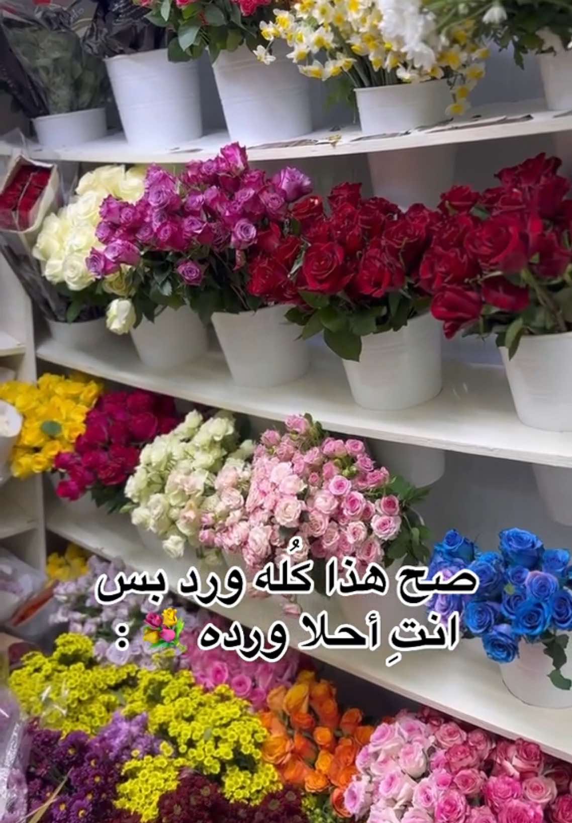 بس انتِ أحلا ورده 💐: #براء_بائع_الورد #خريسان_بعقوبة #تجهيز_بوكيه_ورد #جرب_حظك #سوق_بعقوبه 
