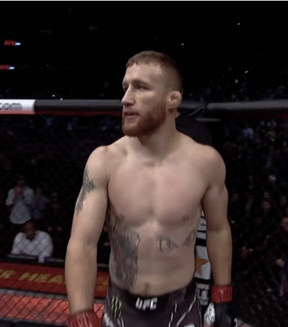 старший #edit #UFC #highlight #джастингейджи #justingaetje 