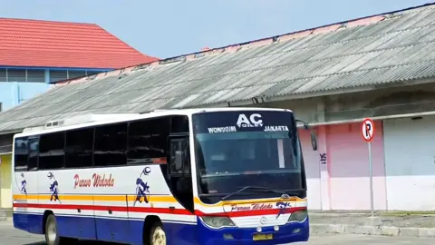 spesies tambahan terakhir diambil dari eks gajah mungkur kalo nggak gms, sebelum redup #mercedesbenz  #kingcooler  #1518 