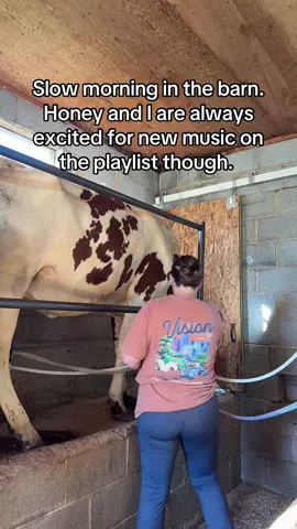 🎶 #ncfarm #farmlife #milkcow #milkingparlor 