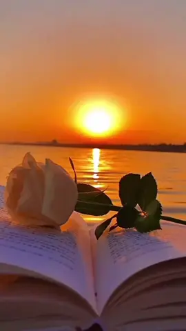 #عبد الحليم حافظ #أهواك #العندليب_الأسمر  #طرب زمان الجميل #عبدالحليم حافظ