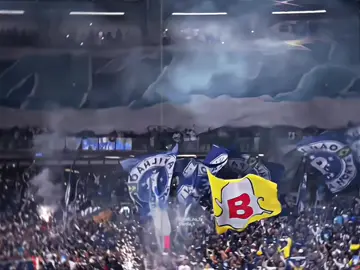 Chacota do mineirão 💙🦊 #edit #cruzeiro #minasgerais #classic #atleticomineiro 