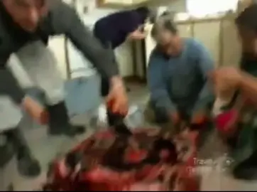 #rawmeat #innuit #sv3rige #goatis #primal