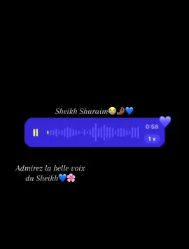 🤌🏾❤️AL_QURAN😭🫶🏿 au lieu de Shuraim c’est Mouhamad Hafi #pourtoii #alquran #fypシ゚ #viralvideos #tik_tok @~🅱️🅰️🅱️🅰️©️🅰️®️~ 