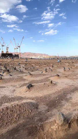 #البقيع 