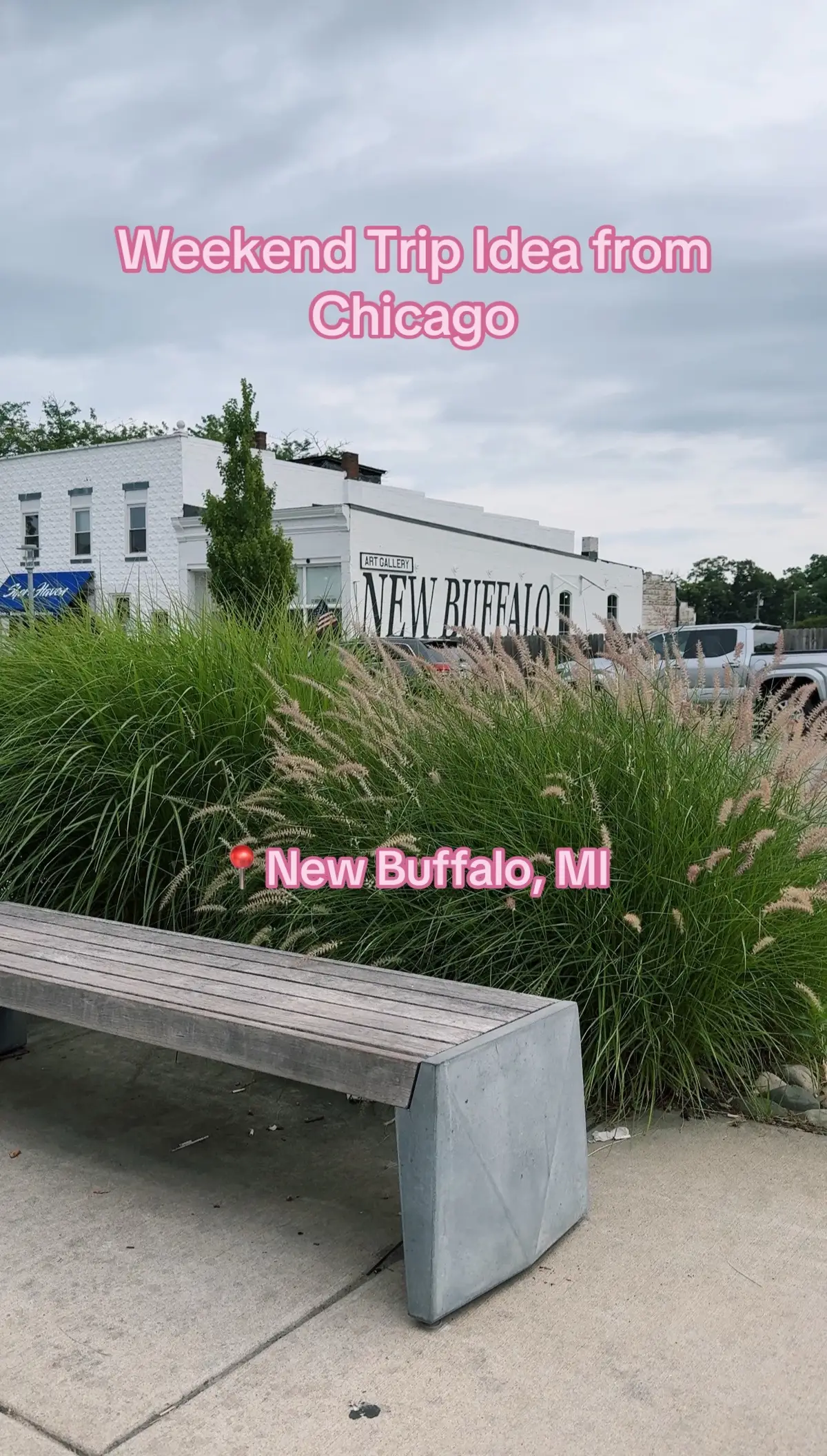 Best day trip ever, so cute!! #Chicago #explorechicago #chicagotiktok #daytrip #newbuffalo 