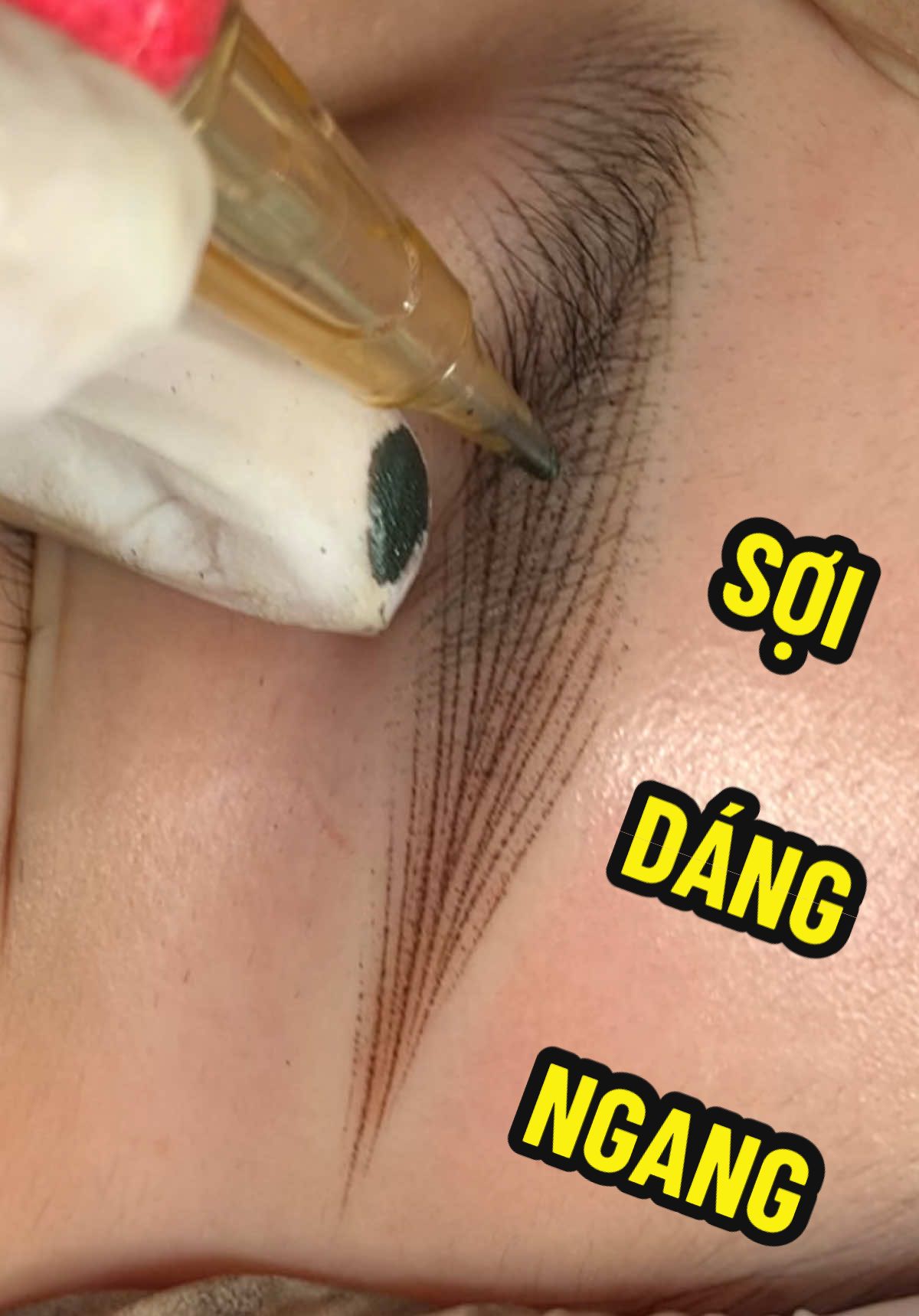 Tiếng kim giòn tan / Hairstrokes dáng ngang cho Spine 2.5 !🩸#eyebrows #songducbrows #hairstroke #acedemy #Hairtrokes 