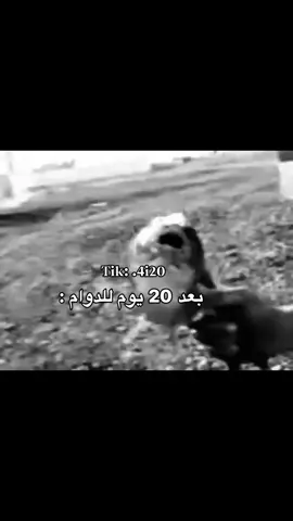 منو متحمس للدوام😂explor #foryou #viral #تيك_توك #لايك #العراق🇮🇶 