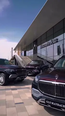 This Life 💸🫀 #rich #luxury #wealthylifestyle #millionaire #money 