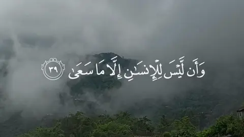 النجم [39-44] ارح قلبك🖤🪐 #محمد_اللحيدان #quran 