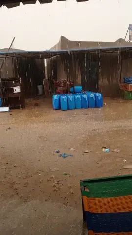 احربان اشبرش  2025/8/27ازواد هركوك مالي نووو 