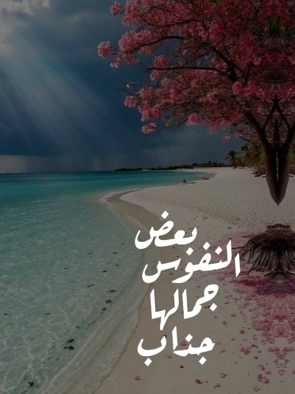 #بعض_النفوس_جمالها_جذاب #أناشيد_بدون_موسيقى #نشيد #بدون_موسيقى #اكسبلور 