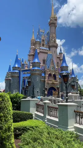 Disney, the great outdoors ✨🤣 @Disney Parks #disneyworld #magickingdom #disney #disneyparks #disneyadult 