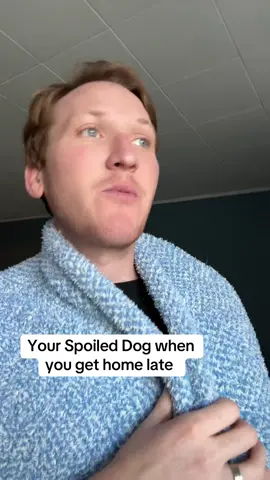 #dogparents #dogdad #family #dogs #comedian 