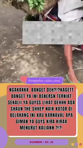 #videolucu #videorandom #artist #berita #kumpulanvideoviral