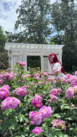 among the roses she dances 🌹 dress & corset: @Selkie dc: STYLEDFRECKLES to save #CoquetteStyle #Selkie #selkiedress #CoquetteGirls #RomanticStyle #CoquetteSummer #CoquetteOutfit #HyperFeminine #FeminineStyle #SoftGirlSummer #CoquetteAesthetic #SoftCoquette #CoquetteFashion #PrettyInPink #SelkiePartner #DreamyStyle #CoquetteEra #SoftGirlStyle #PFGirls #StyledFreckles