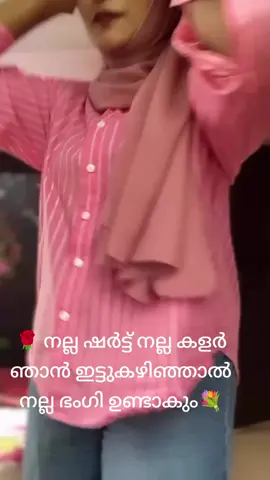 നല്ല ഷർട്ട് നല്ല കളർ ഞാൻ ഇട്ടുകഴിഞ്ഞാൽ നല്ല ഭംഗി ഉണ്ടാകും