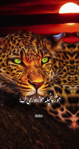 #CapCut Hu sir 🤚💀 #تمپلیت_جدید  بـــاچیان یـــو اورې ههاها🥴💯❤️#تمپلیت_جدید #رپ_پشتو  رپ_فارسی اهنګ_پشتو اهنک_افغانی اهنک_ایران_غمگین_غاشقان creatorsearchinsights #oo__3salar_afg 