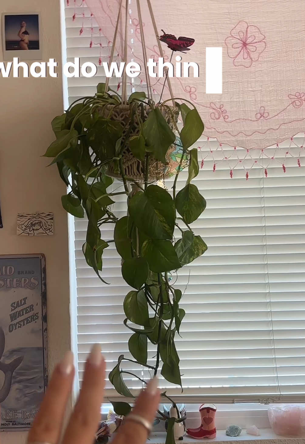 Please help me with my plant, open to all advice even if it’s a bit harsh. I swear I’m a good plant mom. #plantsoftiktok #pothosplant #planttiktok #helpme 