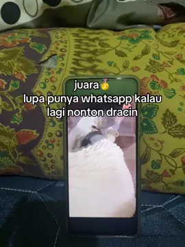 sebenarnya sih wa 98% gk penting buat aku #fypシ #foryou #dracin #fav #baifangwen 