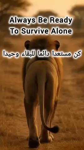 Absolutely Right & That's life  الحقيقة 👏👏 #fyp #اكسبلور 