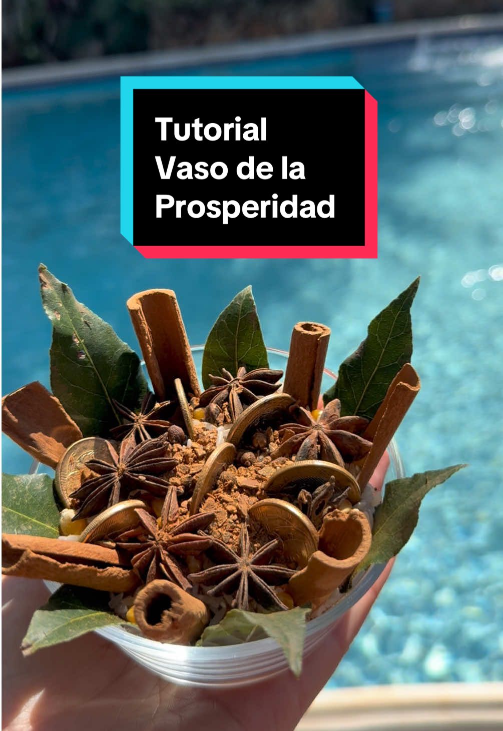 Te comparto un poco de mis conocimientos mágicos ✨🥹 Este es mi imán de abundancia, preparado con fé y magia.  Para todo el que crea! ✨ Dejar el vaso de la prosperidad en el negocio, en el hogar, no debe estar escondido!!  ✨ Decreta todos los días:  “Soy un imán poderoso de riqueza, suerte y oportunidades.” Vas a necesitar:  - Romero. - Agua Florida. - Un incienso o sahumerio. - Un pote de vidrio nunca antes usado. (Nuevo) - Arroz. - Maíz. - Canela en polvo. - 7 ramas de canela. - 7 hojas de laurel. - 7 de anís estrellado. - 7 clavos de olor. - 7 monedas doradas o plateadas de tu región. ✨Por qué el número 7?  - Representa la conexión entre lo terrenal y lo divino. - La perfección espiritual y la sabiduría. - Un ciclo completo (7 días de la semana, 7 colores del arcoíris, 7 chakras). - Potencia la intención del ritual y multiplica la energía de prosperidad. Todo en número 7, el número mágico de la perfección y la prosperidad. 🌟💰 #prosperidad #abundancia #espiritualidad #777 #ritualesmagicos 