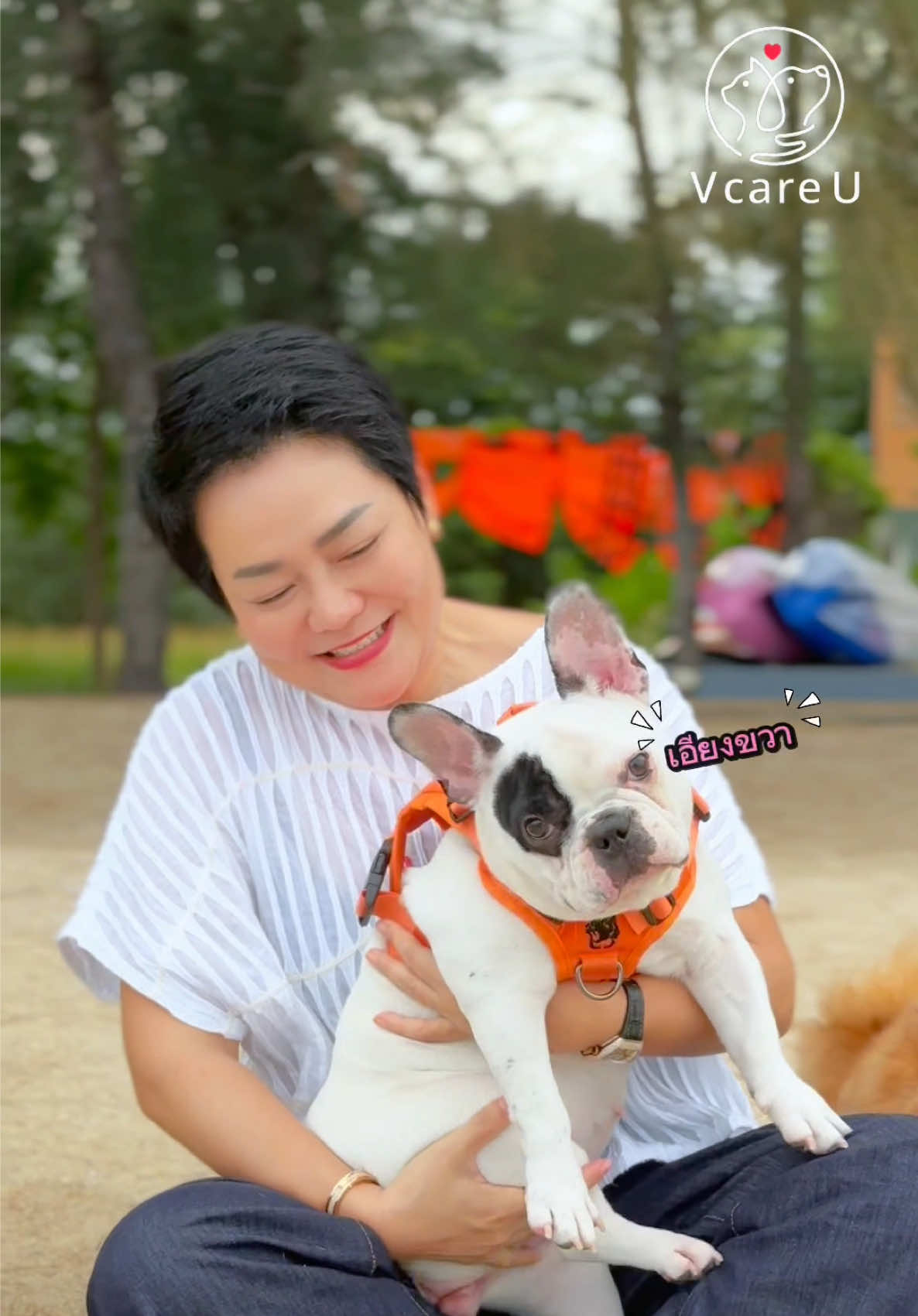 น่ารักน่าเอ็นดู 🥰#พี่ไก่เลี้ยงหมา17ตัว #วีแคร์ยูไทยแลนด์ #สัตว์เลี้ยงtiktok #หมาน่ารัก #พะแพง 