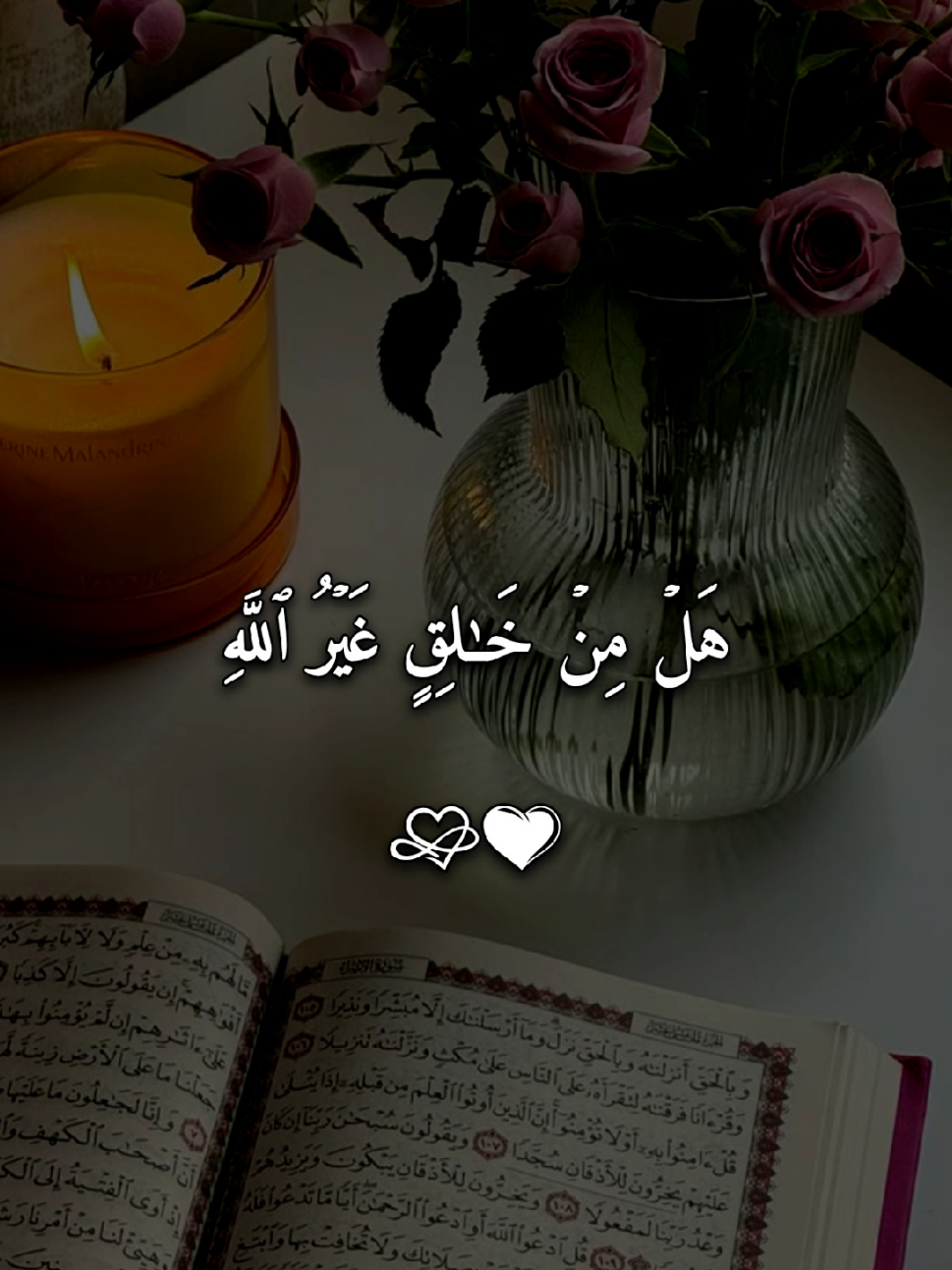 #يا_ايها_الناس_اذكروا_نعمه_الله_عليكم #quran #quran_alkarim #القرأن_الكريم #فارس_عباد 