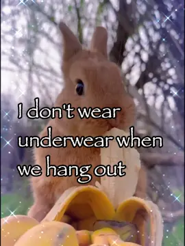 I don’t wear it 💔🥀#bunny #rabbitsoftiktok #trending #meme #fyp 