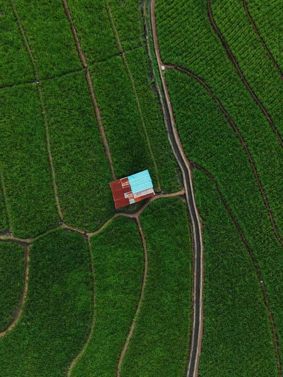 Why Color Grading Important? . . Color grading is crucial because it sets the mood and aesthetic of visual content, creates emotional connection with the audience, ensures visual consistency across a project, and lends a professional, polished look. #wonderfulindonesia #dji #drone #pesonaindonesia #nature 