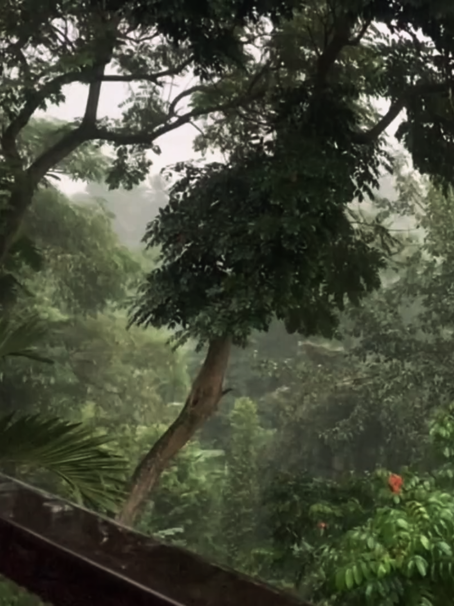 #mưa #mưabuồn #binhyen #tamtrang #rainsound 
