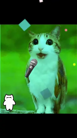 Meowl is singing!!😝😼❤️ #meowl #fyp #foryou #cat #edit 