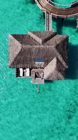 POV: You just dove into the world’s most insane lagoon 💦🏝️ Is this real life… or the desktop screensaver we all dream about? 📍 Four Seasons Bora Bora = literal paradise unlocked ✨ #borabora #tranquilwaters #bucketlist #dreamdestination@Four Seasons Hotels 