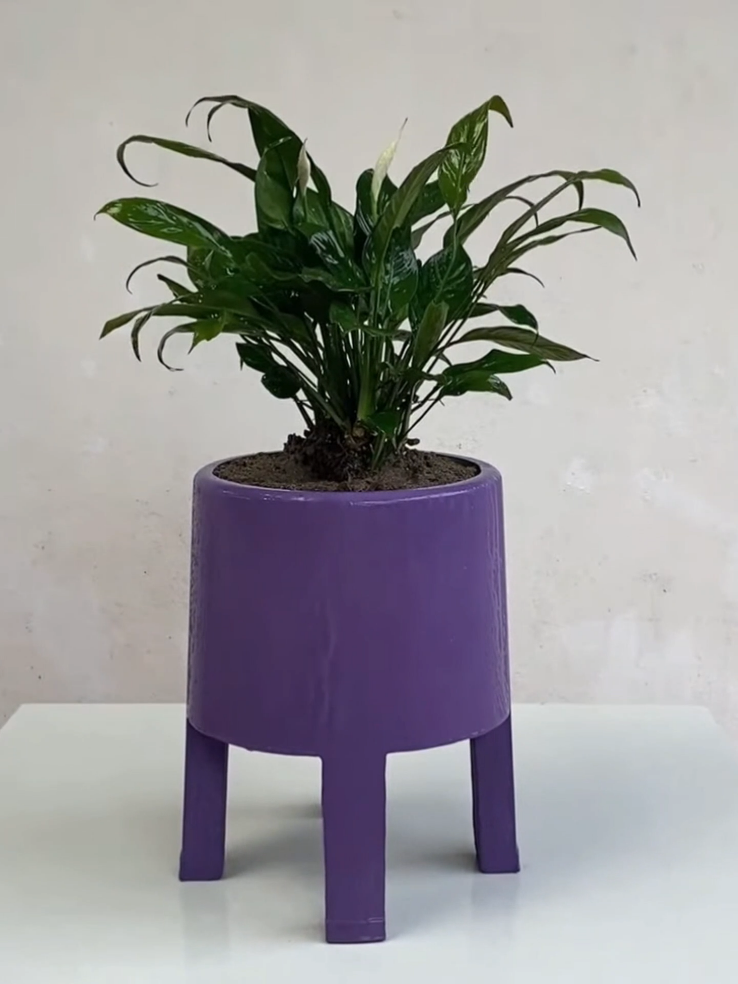 #creativ #creative #toys #shorts #DIY #decoração #jardinagem #dolixoaoluxo #craft #craftideas #artesanatoaplicado