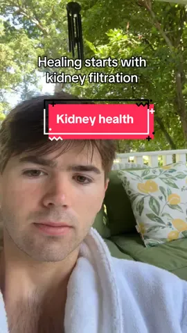 Kidneys are so important for our health #health #detox #fyp #herbal 